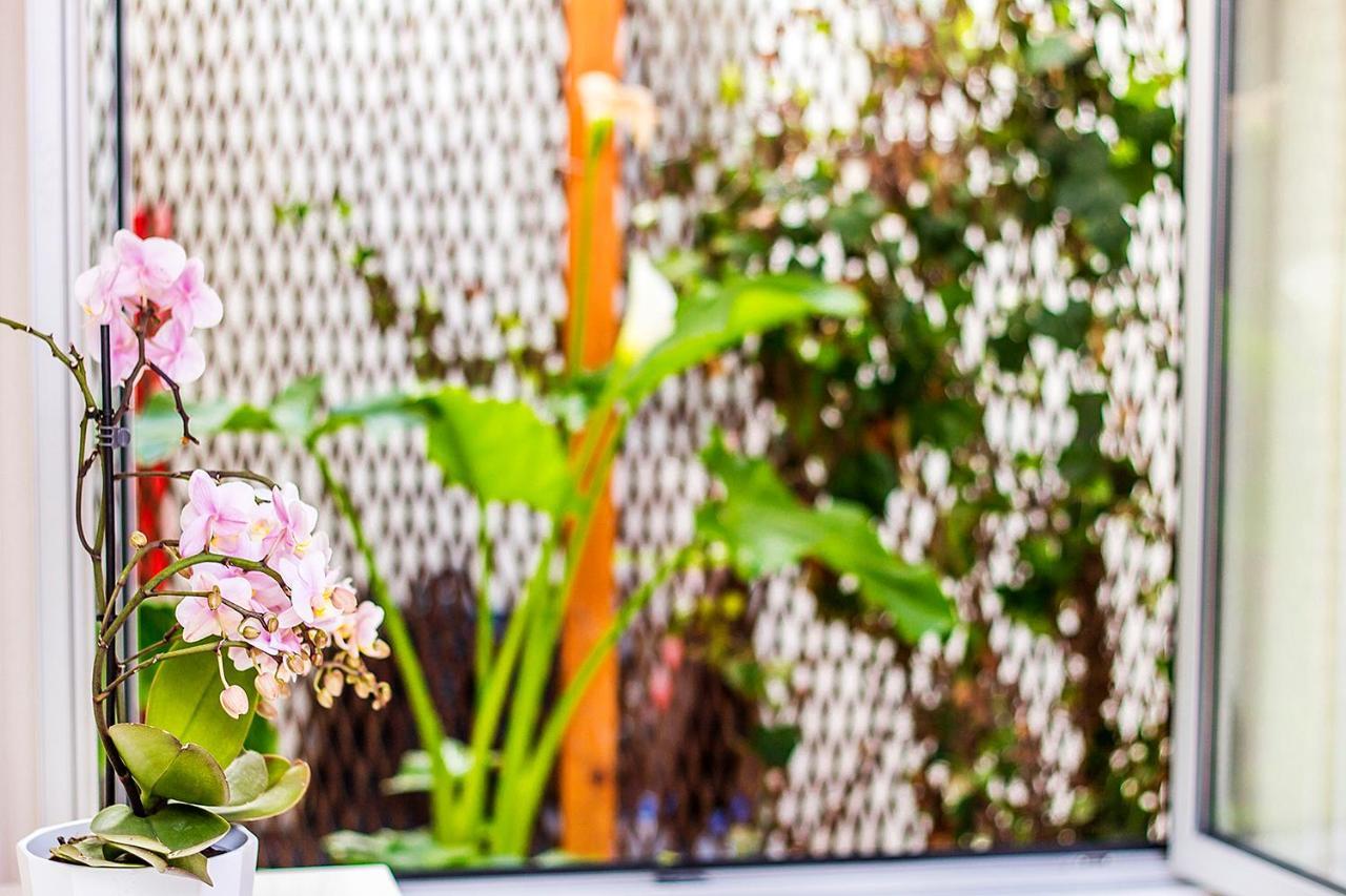 Heart Of Aveiro Apartment 외부 사진